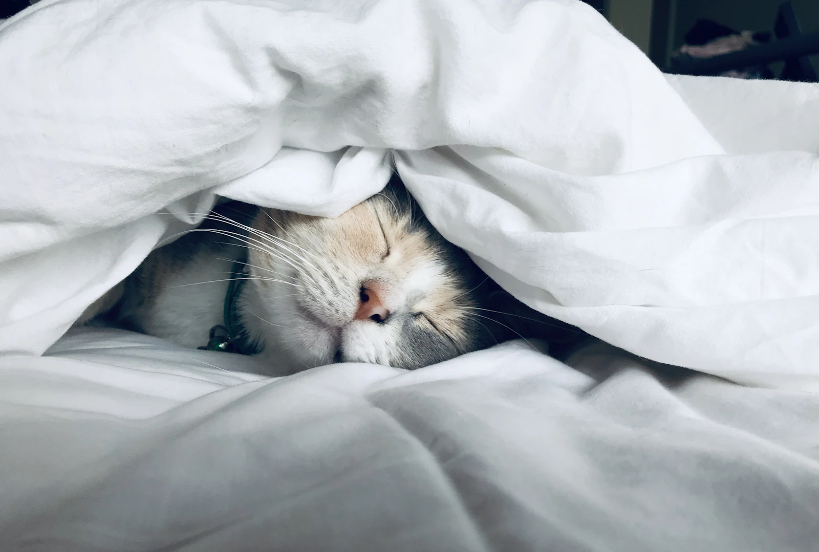 Personne en sommeil profond